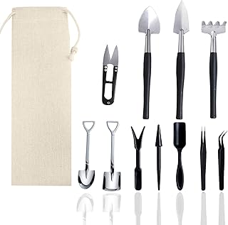 12 Stück Sukkulenten Werkzeugset, Mini Gartenwerkzeuge für Zimmerpflanzen, Bonsai, Kakteen & Um…