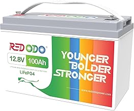 Redodo 12V 100Ah LiFePO4 Batterie, 100A BMS, 4000-15000 Zyklen Deep Cycle Lithium Akku, MAX 1280W…
